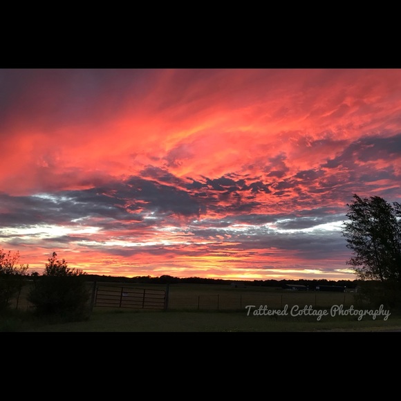 Meet your Posher, Rachael - Picture 2 of 7